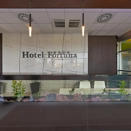 Fortuna Hotell 4*